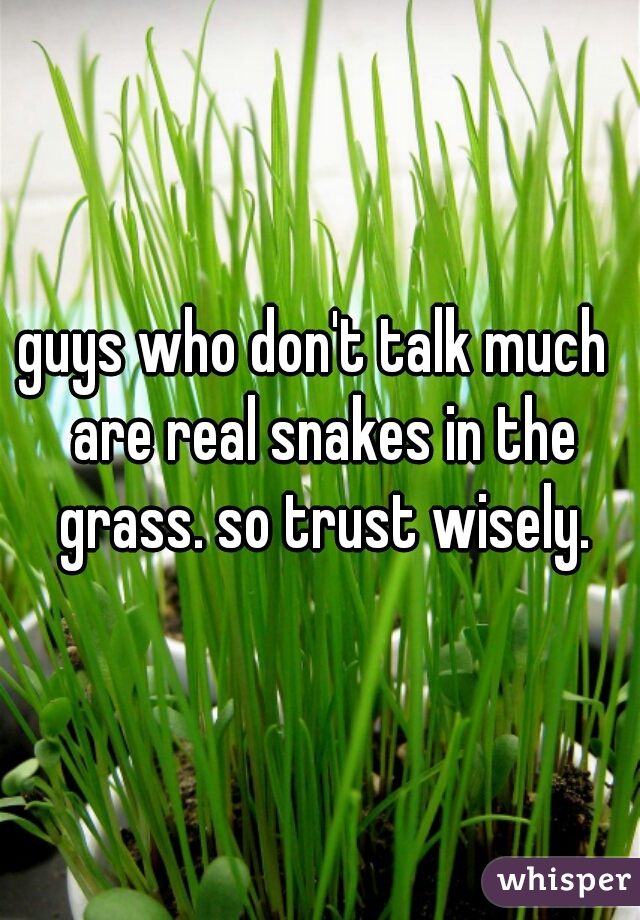 guys who don't talk much  are real snakes in the grass. so trust wisely.