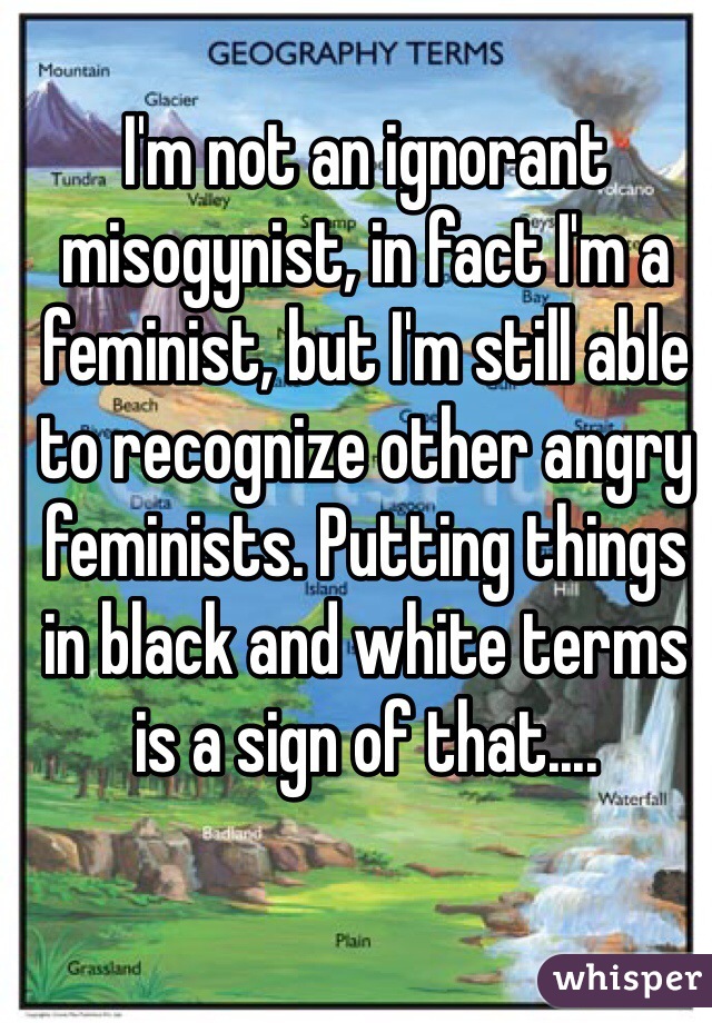 I'm not an ignorant misogynist, in fact I'm a feminist, but I'm still able to recognize other angry feminists. Putting things in black and white terms is a sign of that....