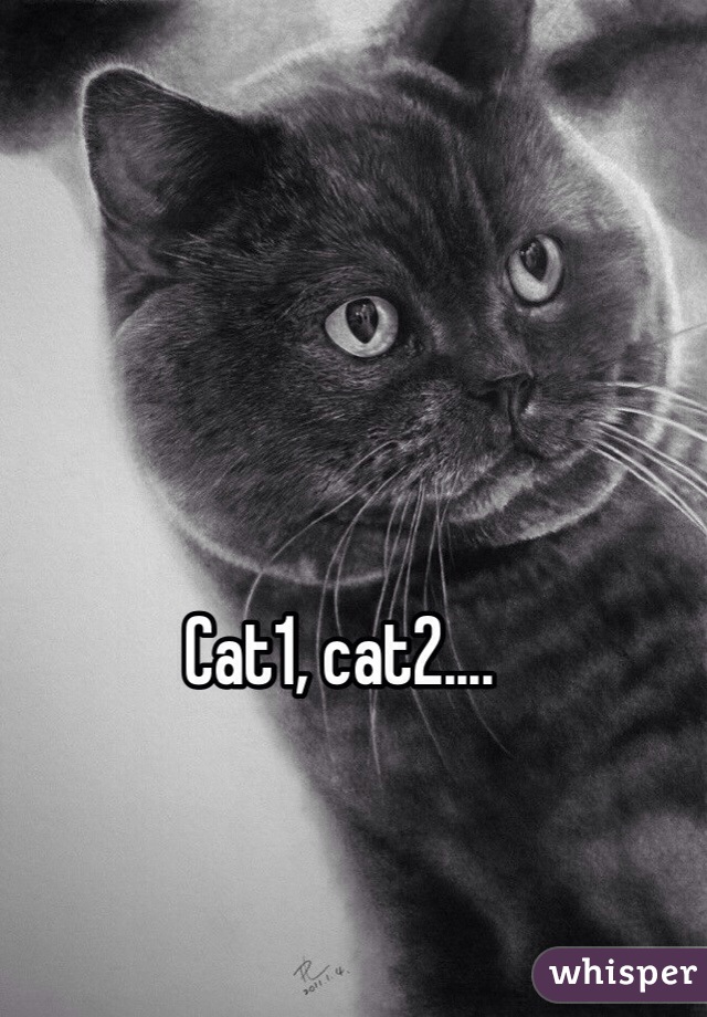Cat1, cat2.... 