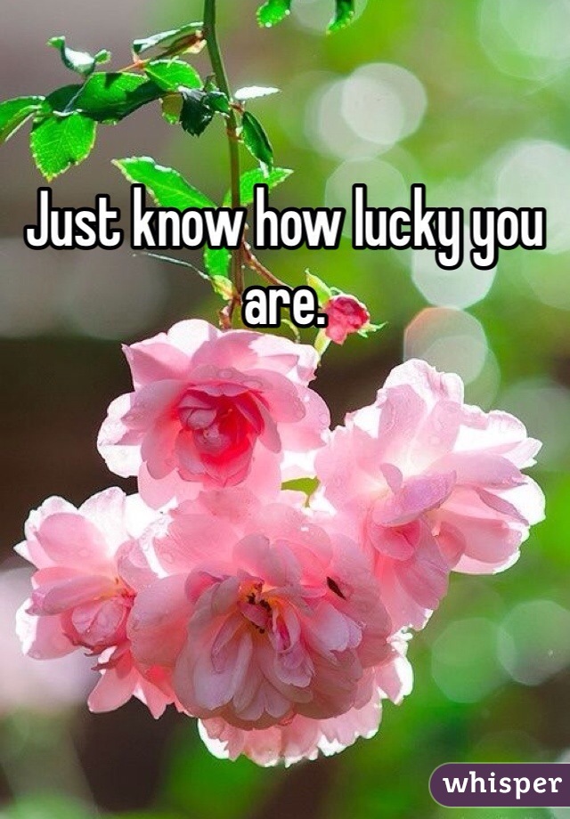 Just know how lucky you are. 