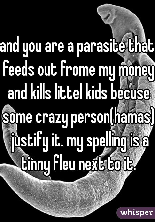 and you are a parasite that feeds out frome my money and kills littel kids becuse some crazy person(hamas)  justify it. my spelling is a tinny fleu next to it.