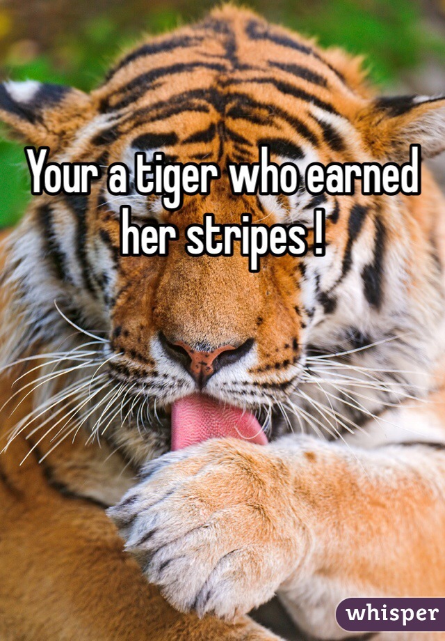 Your a tiger who earned her stripes !