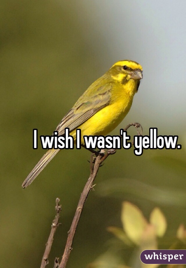 I wish I wasn't yellow.