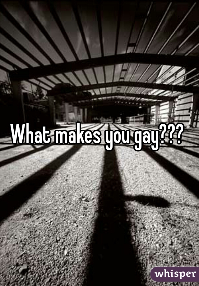 What makes you gay??? 