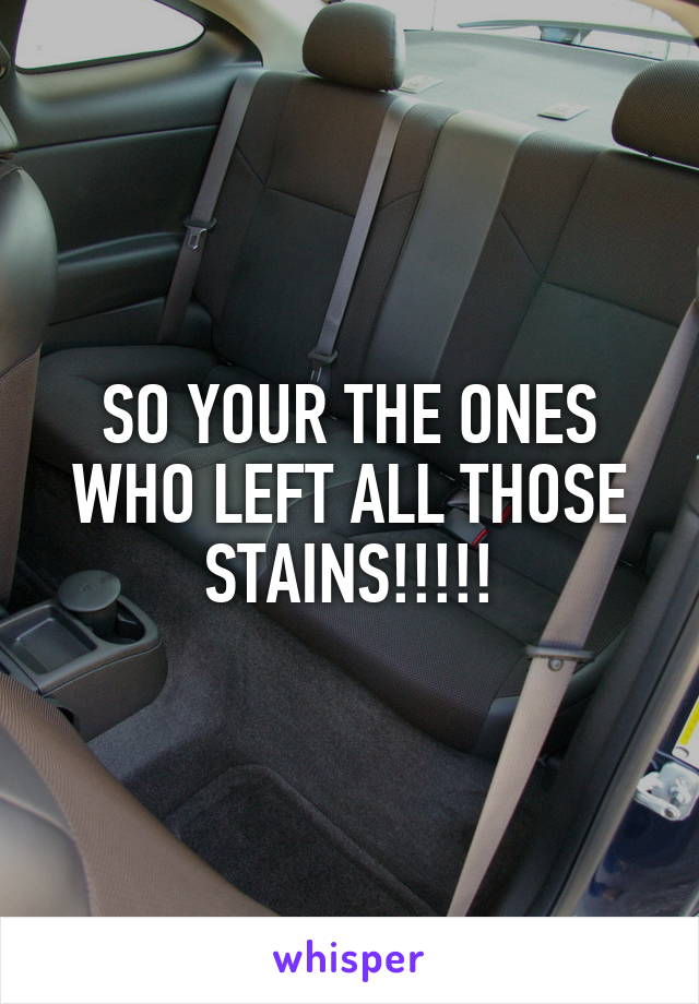 SO YOUR THE ONES WHO LEFT ALL THOSE STAINS!!!!!