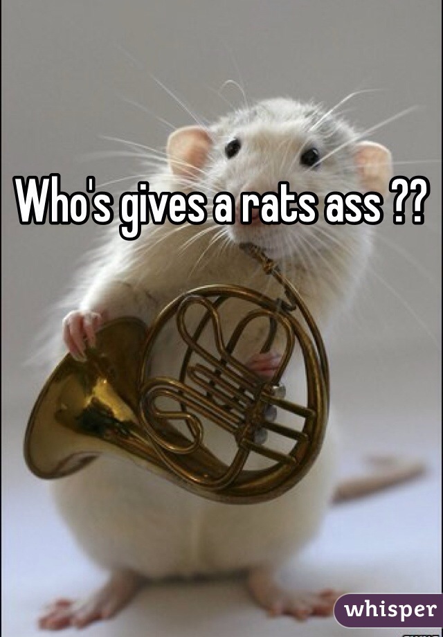 Who's gives a rats ass ?? 