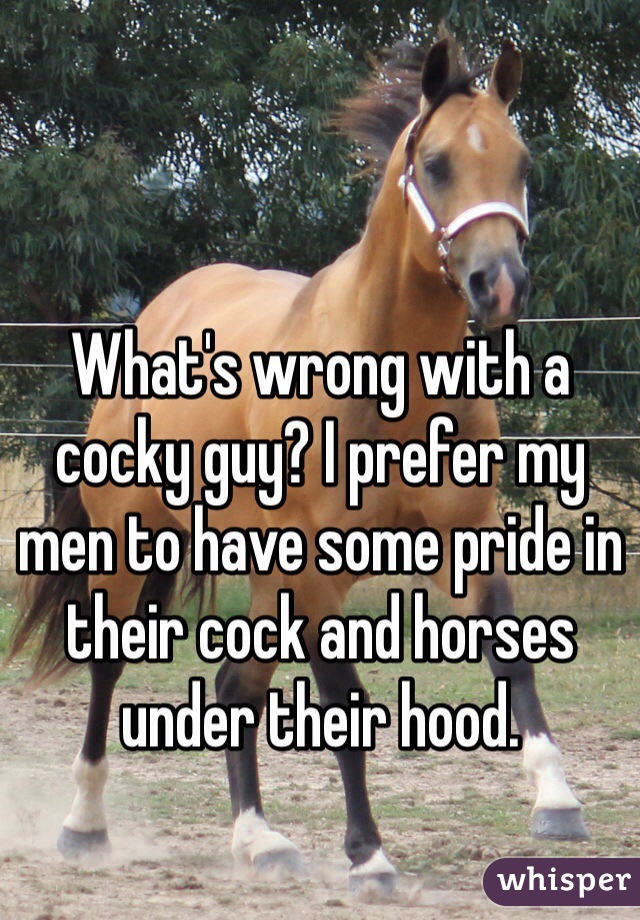 What's wrong with a cocky guy? I prefer my men to have some pride in their cock and horses under their hood. 