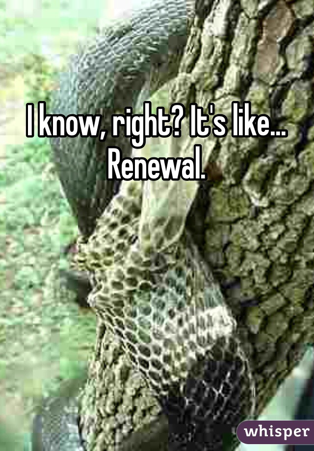 I know, right? It's like... Renewal. 