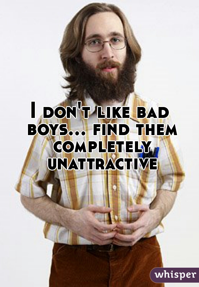 I don't like bad boys... find them completely unattractive