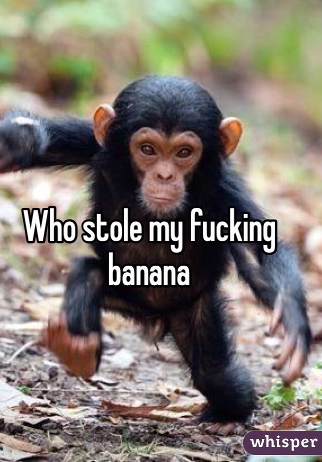 Who stole my fucking banana