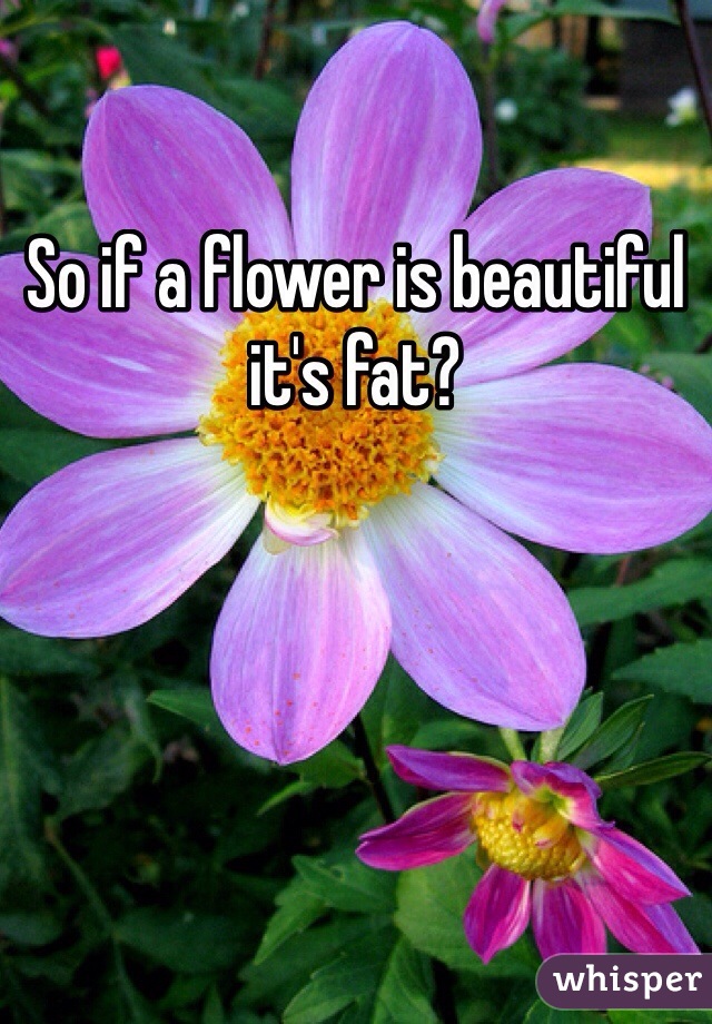 So if a flower is beautiful it's fat?
