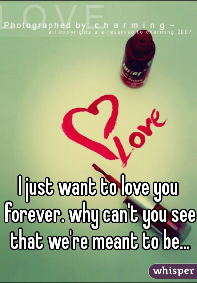 I just want to love you forever. why can't you see that we're meant to be...