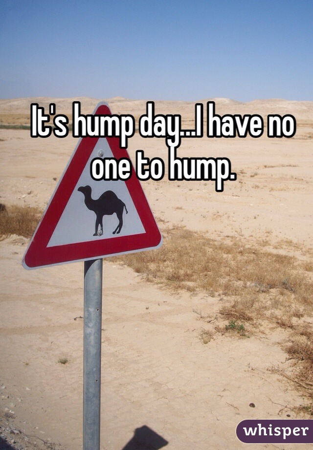 It's hump day...I have no one to hump. 