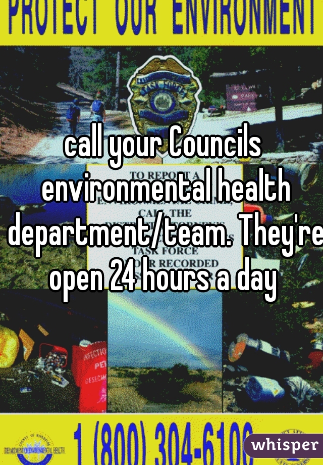 call your Councils environmental health department/team. They're open 24 hours a day 