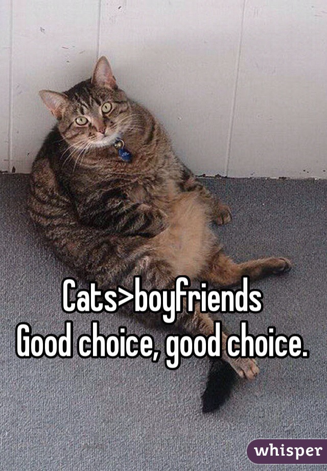Cats>boyfriends
Good choice, good choice. 