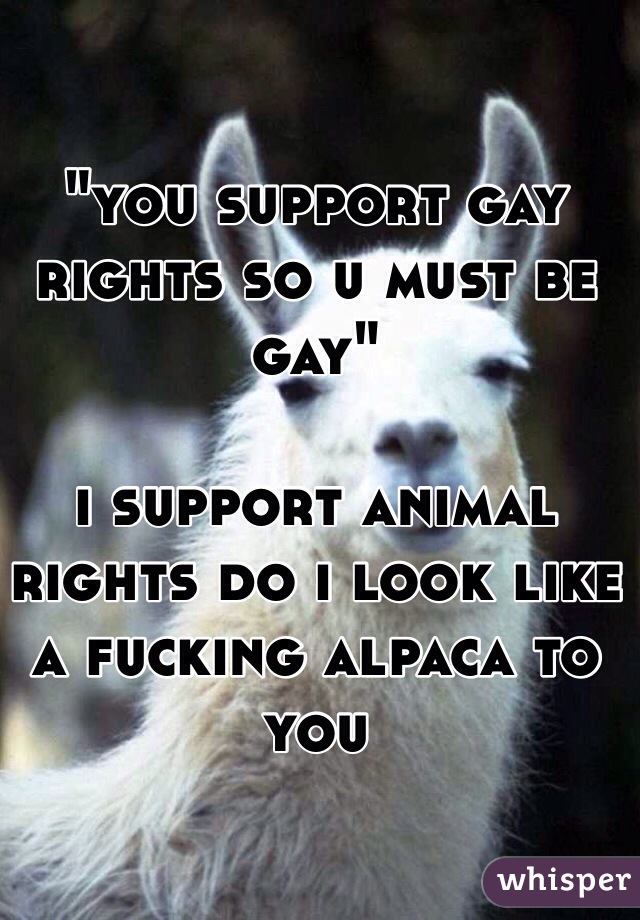 "you support gay rights so u must be gay" 

i support animal rights do i look like a fucking alpaca to you