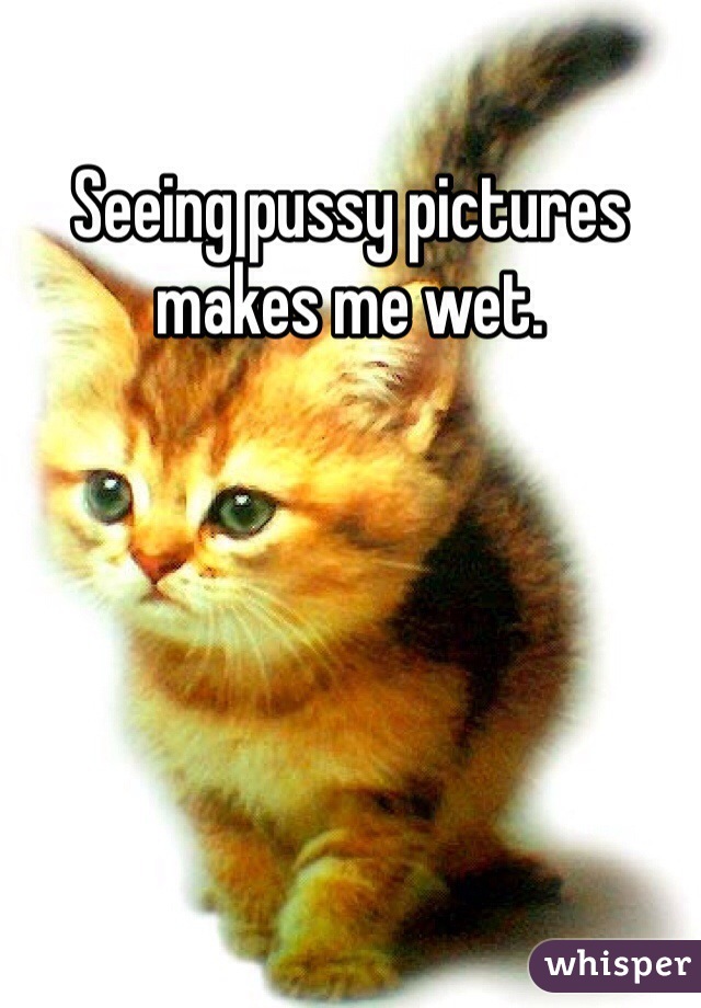 Seeing pussy pictures makes me wet. 