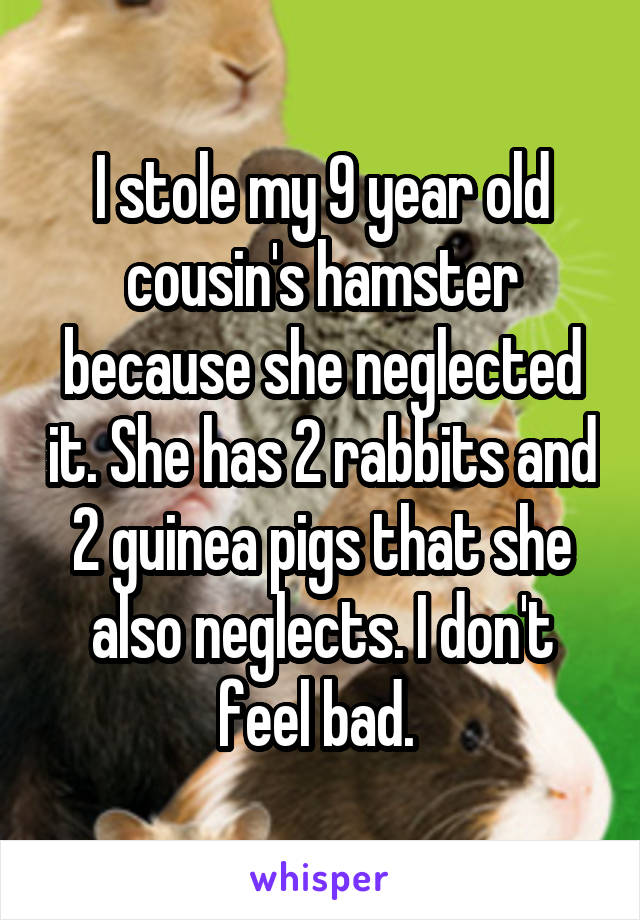 I stole my 9 year old cousin's hamster because she neglected it. She has 2 rabbits and 2 guinea pigs that she also neglects. I don't feel bad. 