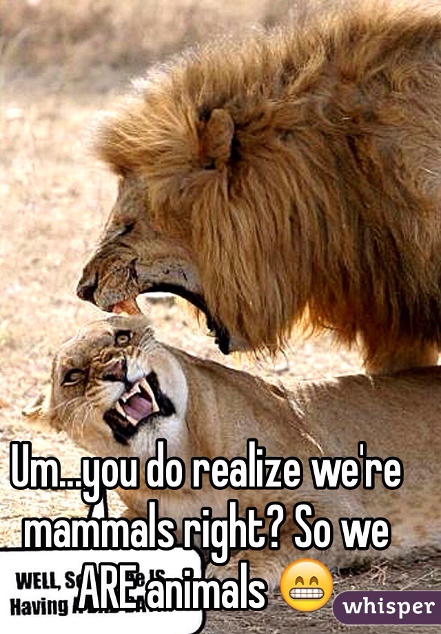 Um...you do realize we're mammals right? So we ARE animals 😁