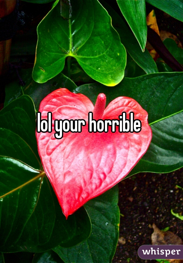 lol your horrible 