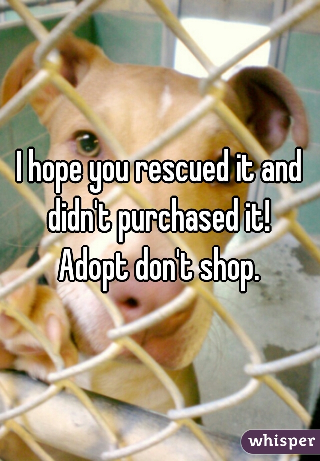 I hope you rescued it and didn't purchased it! 
Adopt don't shop.