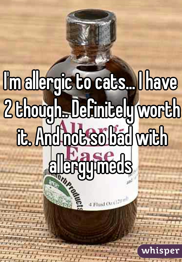 I'm allergic to cats... I have 2 though.. Definitely worth it. And not so bad with allergy meds 