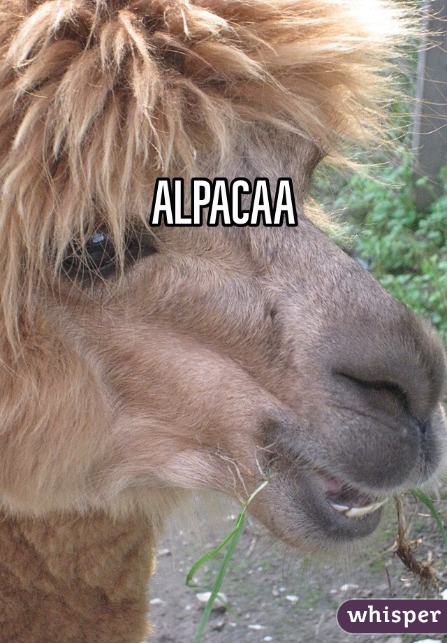 ALPACAA