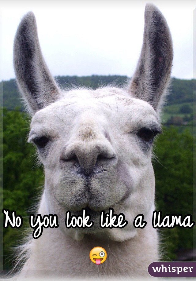 No you look like a llama😜