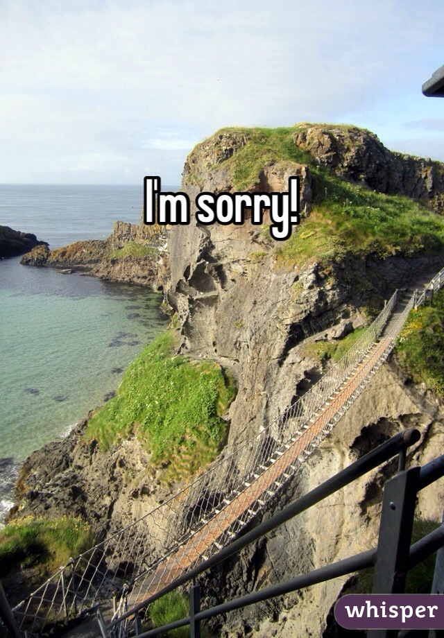 I'm sorry! 