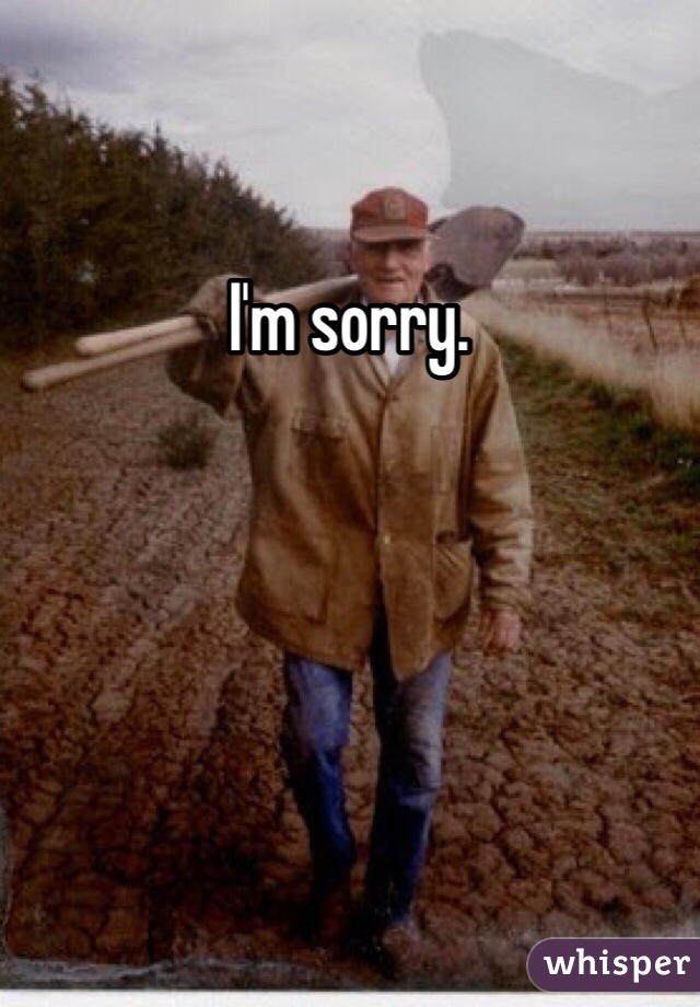 I'm sorry. 