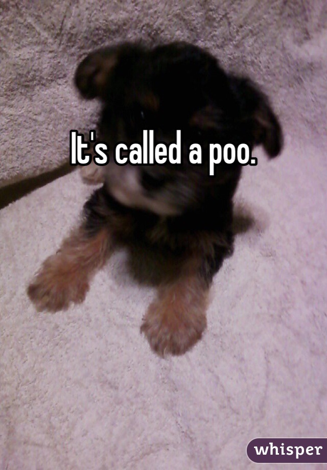 It's called a poo. 