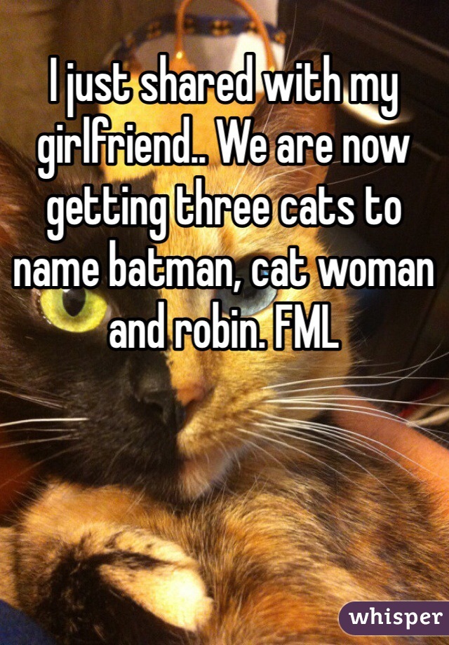 I just shared with my girlfriend.. We are now getting three cats to name batman, cat woman and robin. FML