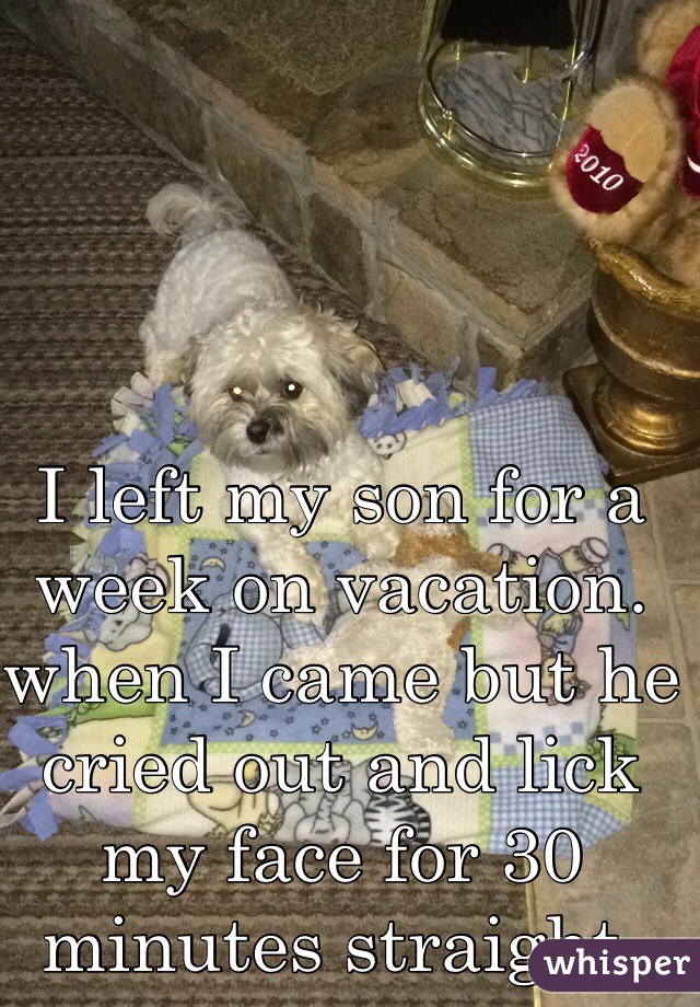 I left my son for a week on vacation. when I came but he cried out and lick my face for 30 minutes straight. 