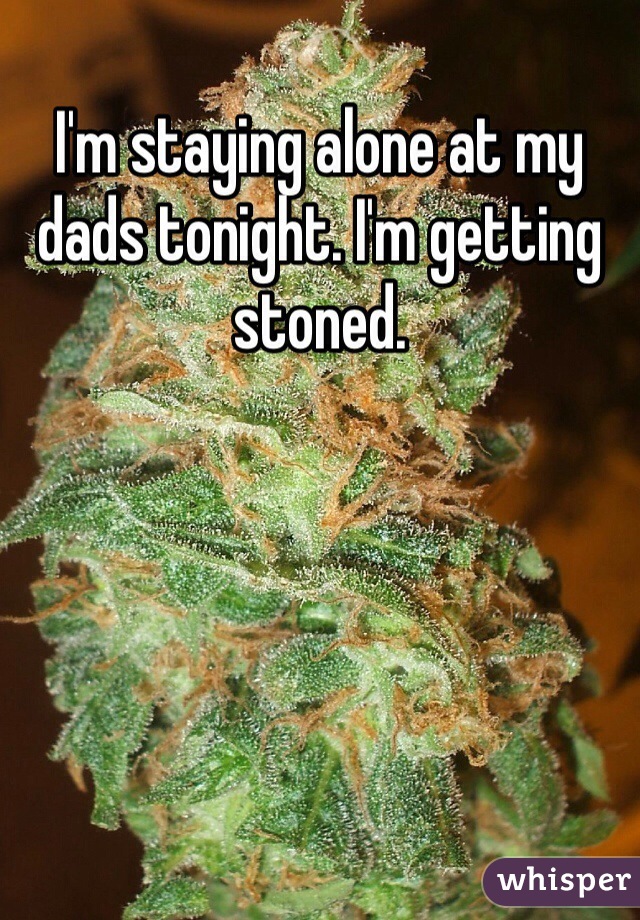 I'm staying alone at my dads tonight. I'm getting stoned. 