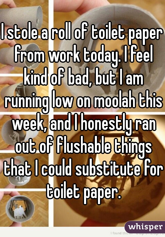 I stole a roll of toilet paper from work today. I feel kind of bad, but I am running low on moolah this week, and I honestly ran out of flushable things that I could substitute for toilet paper.