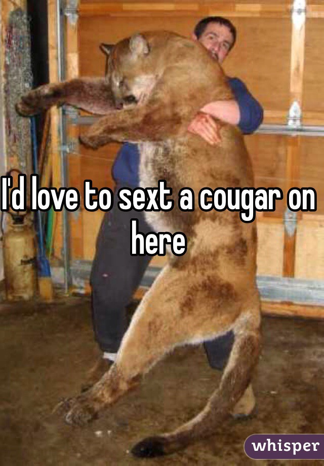 I'd love to sext a cougar on here