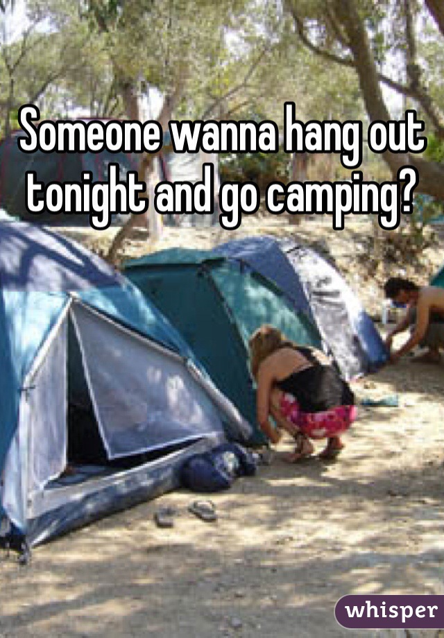 Someone wanna hang out tonight and go camping?