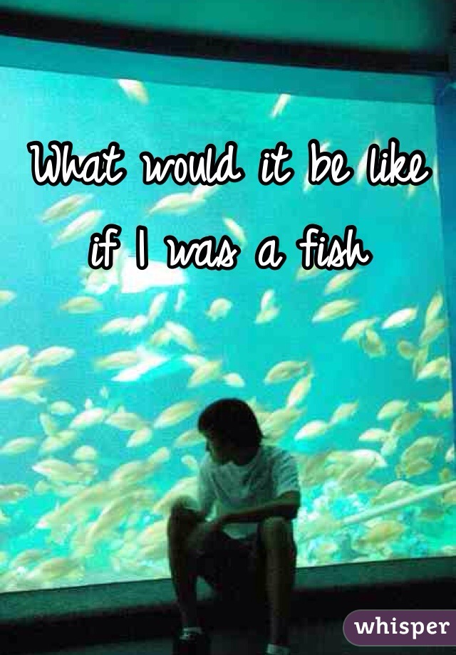 What would it be like if I was a fish 