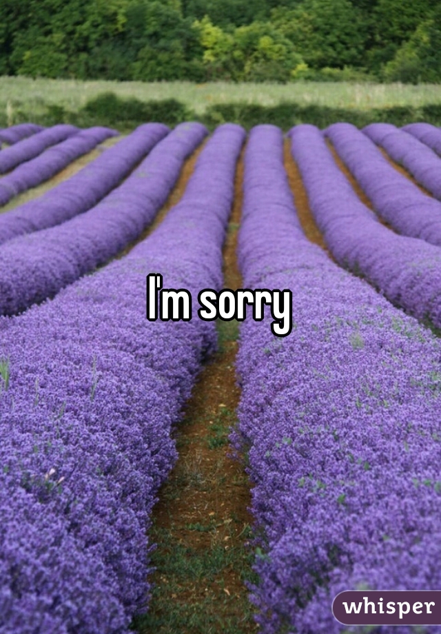 I'm sorry