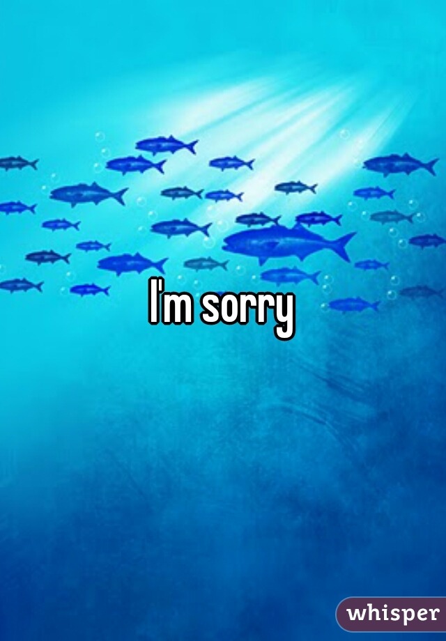 I'm sorry