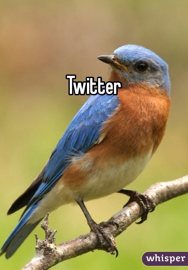 Twitter