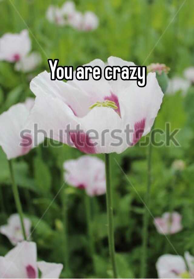 you-are-crazy