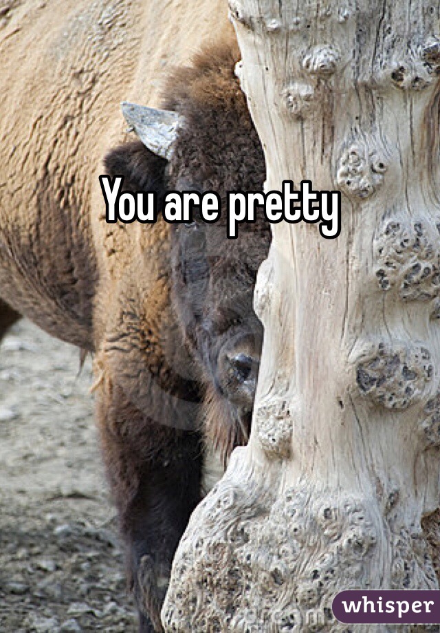 You are pretty