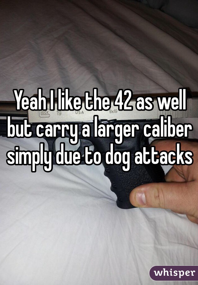 Yeah I like the 42 as well but carry a larger caliber simply due to dog attacks 