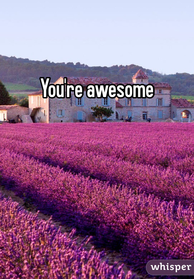 You're awesome 