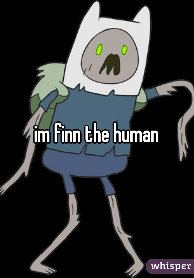 im finn the human