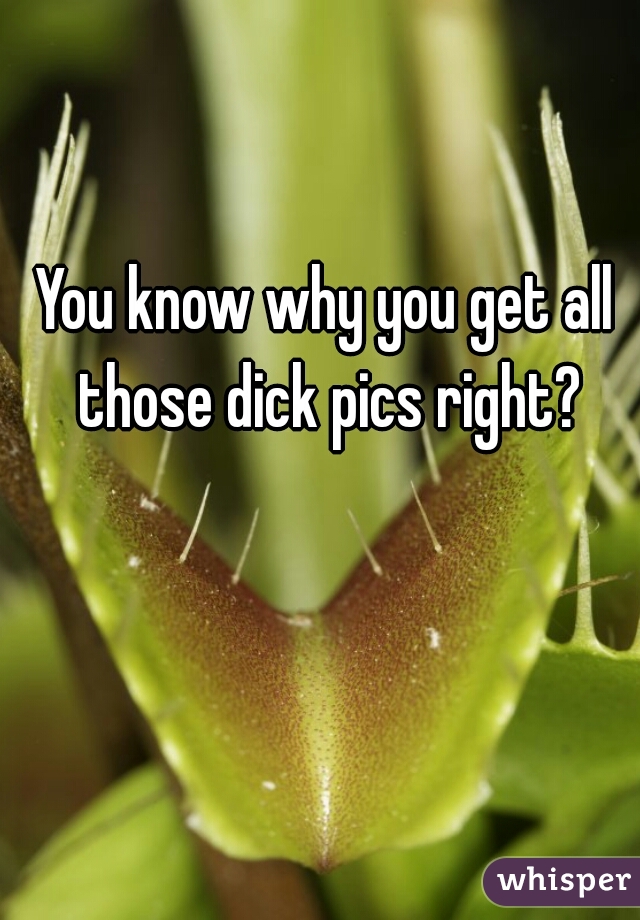 You know why you get all those dick pics right?