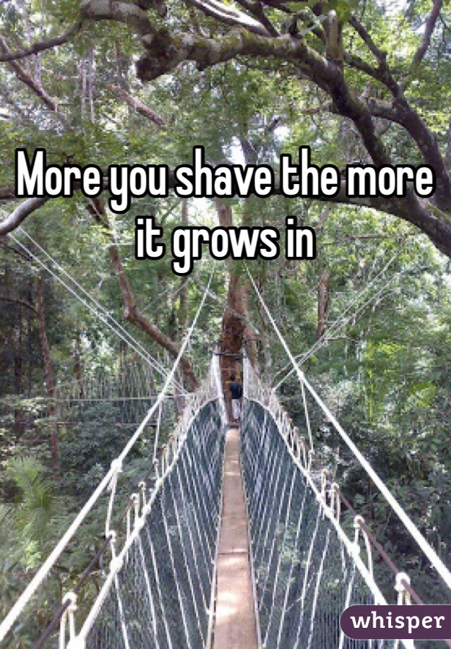 More you shave the more it grows in 