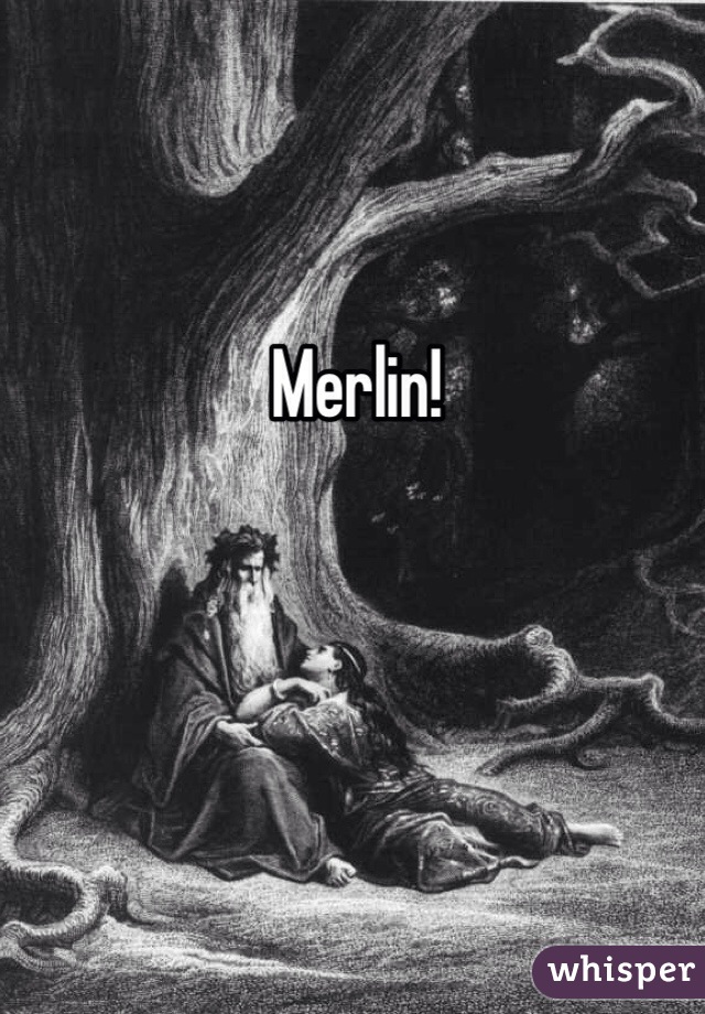 Merlin! 
