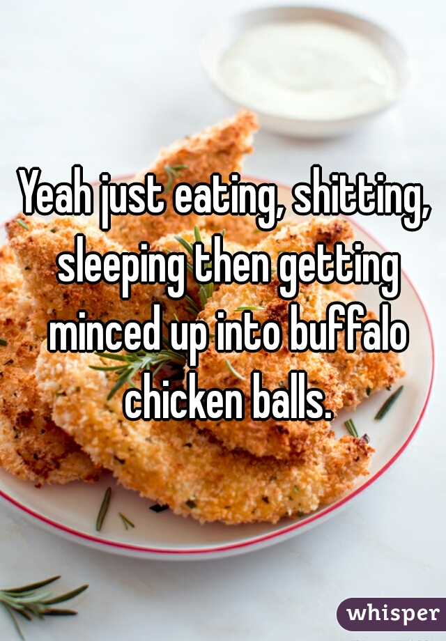 Yeah just eating, shitting, sleeping then getting minced up into buffalo chicken balls.